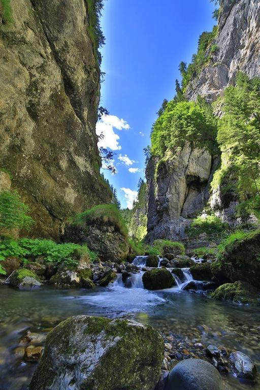 Alpenhotel La Montanara Rocca Pietore Exteriér fotografie